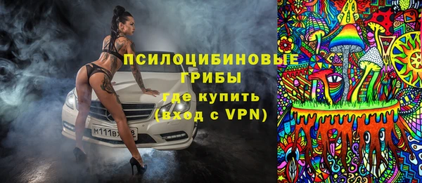 мдпв Краснослободск