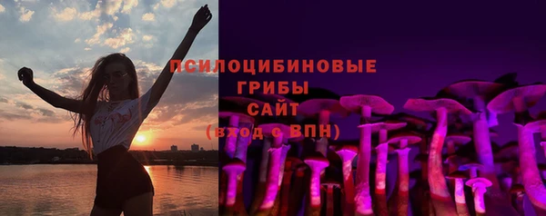 мдпв Краснотурьинск