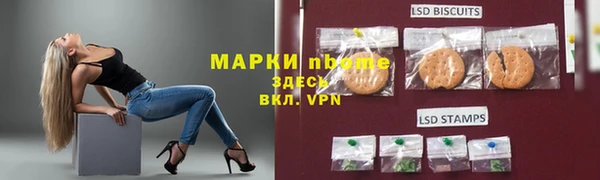 мдпв Краснослободск