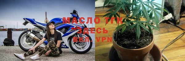 мдпв Краснослободск
