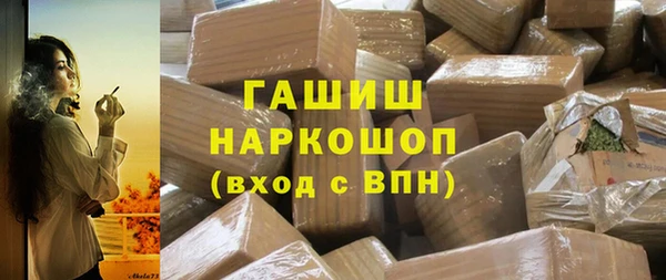 мдпв Краснослободск