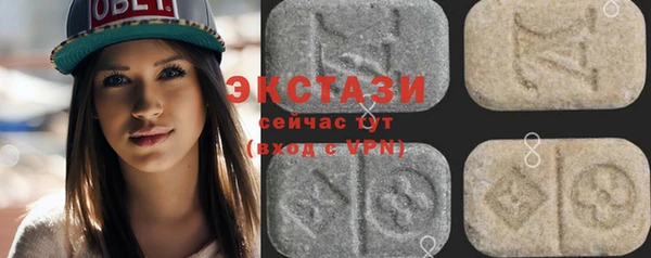 мдпв Краснослободск