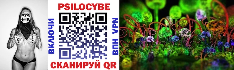 hydra онион  Тогучин  Псилоцибиновые грибы прущие грибы 